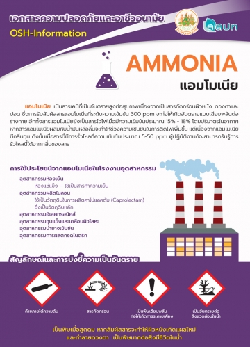 AMMONIA แอมโมเนีย