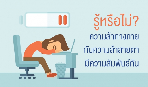 รู้หรือไม่ ความล้าทางกายกับความล้าสายตามีความสัมพันธ์กัน